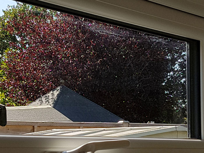 Garden spaces with high level windows for light and ventilation